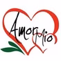 Amor Mío 92.9 FM - XHFZO