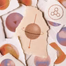 How Many Elementary Particles Are There, Really?