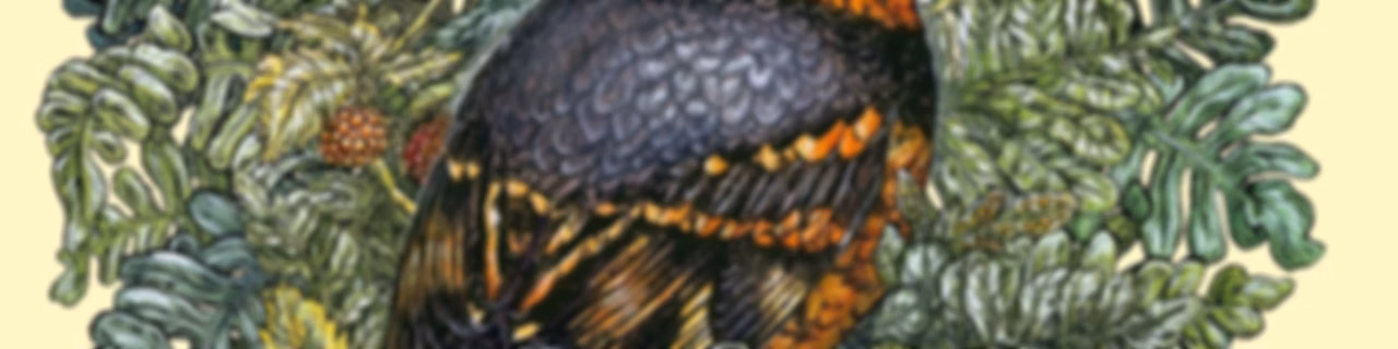 BirdNote Daily