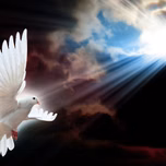 Espiritu de Vida