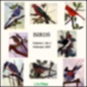 Birds, Vol. I, No 2, February 1897 by Various
