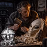 WE MADE THEM UP, AND THEN THEY SHOWED UP: Why The Aliens Keep Changing To Match Us | #COTU