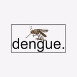 RADIO DENGUE