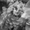 The Dark Room: Kenan Meral Talks John Lennon