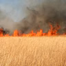 A Single Spark Can Start a Prairie Fire (January 1930) (Part One)
