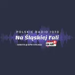 Radio Na Śląskiej Fali Chicago
