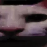 Wazhin0