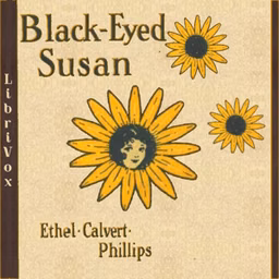 Black-Eyed Susan by Ethel Calvert Phillips (1882 - 1947)