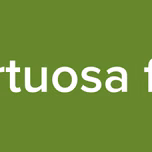 virtuosa fm