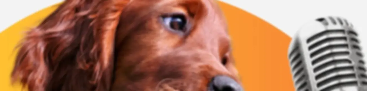 Pet Podcasts With Petwebly