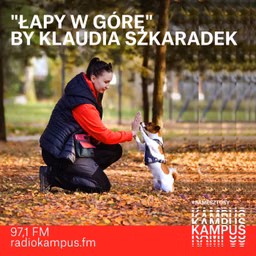 Łapy w górę