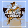 Capítulo #86 - ¿Qué espíritu habita en la obra nueva?, de Meagan Kane