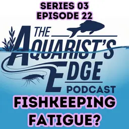 Aquarium Burnout Is Real - How To Recover Without Quitting Fishkeeping
