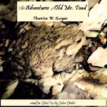 Adventures of Old Mr. Toad, The by Thornton W. Burgess (1874 - 1965)