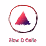 Flow D Calle radio