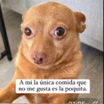 asdasdasdasda