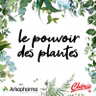 Rediffusion : La Canneberge