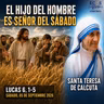 Sábado, 05 de septiembre 2026 | Lucas 6, 1-5 | Santa Teresa de Calcuta