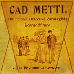 Cad Metti,  The Female Detective Strategist by George Munro (1839? - 1898)