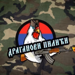 Радио Пилићи