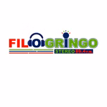 Filogringo