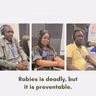 3366: WORLD RABIES DAY: What to do after an animal bite or scratch