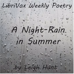 Night-Rain in Summer