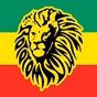 Rototom Sunsplash Radio