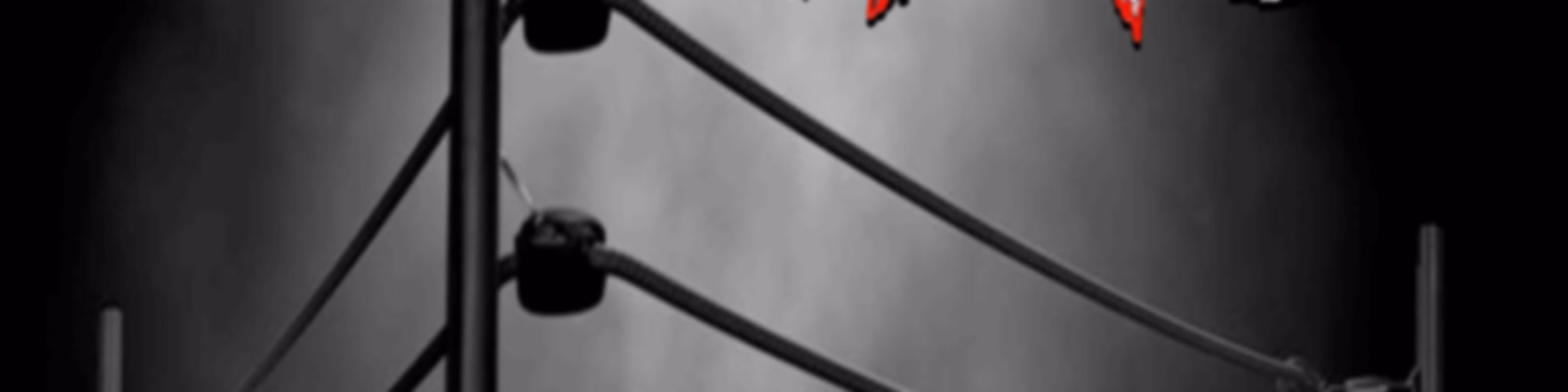 Ringside Chaos