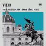 VIENA | Solo billete de ida