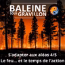 S08E04 S'adapter aux aléas 4/5 : Après les feux, le temps de l'action (Éric Daniel-Lacombe)