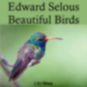 Beautiful Birds by Edmund Selous (1857 - 1934)