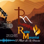 RadioTV Manantial