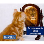 Arrebatados