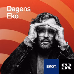 Dagens Eko