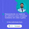 Desvendando os mistérios do isoflurano para anestesia inalatória em cães e gatos