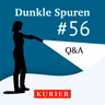 Der Sommer, als Julia verschwand: Q&A