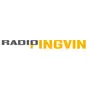Radio Pingvin - Strana Muzika