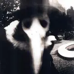 The Shadow space