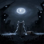 By Night