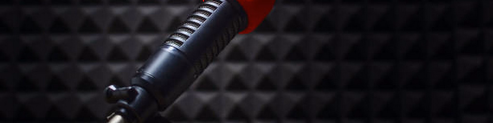 RADIO LIRIO DOS VALES/// TERENO MS