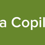 Scoala Copil Dorit