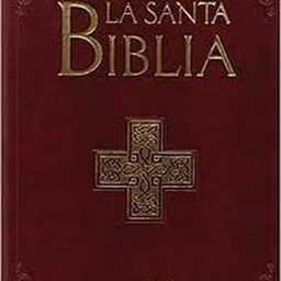 Biblia Radio 24 horas