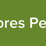 Conquistadores Pentecostales