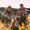 #361 | Bird Dog Puppy Progress: Grouse Woods and Prairie Sharptails