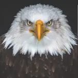 EAGLE ACADEMY OF CENTRAL TN