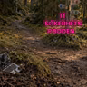 #340 - Forced browsing: gömt är inte skyddat
