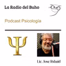 La Psicoterapia