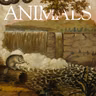 The Animals: Steven, Beaver