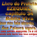 NOVA BETEL